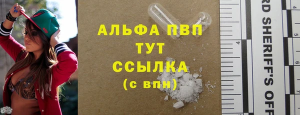 стафф Богданович