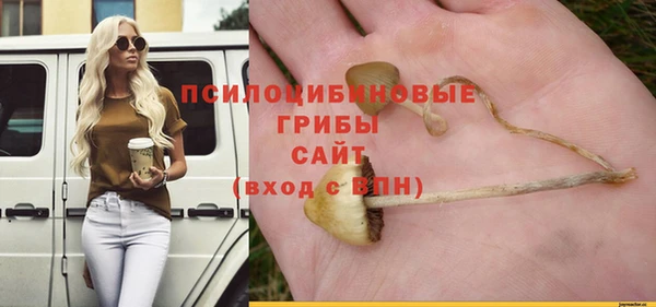 PSILOCYBIN Бугульма