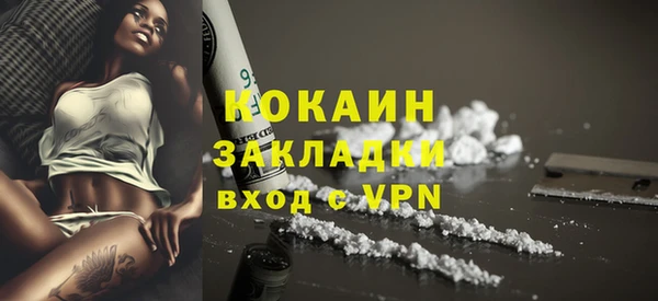 стафф Богданович