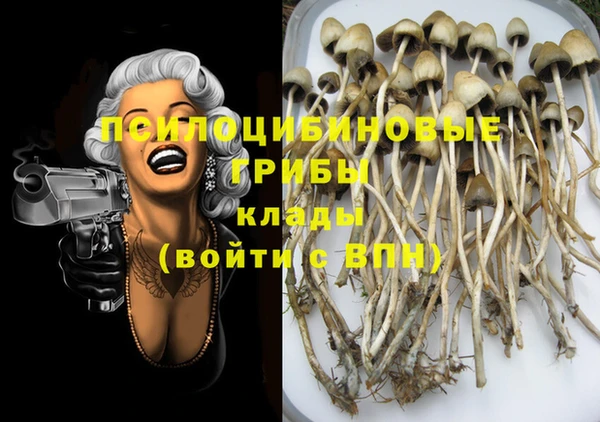 прущая мука Богородицк