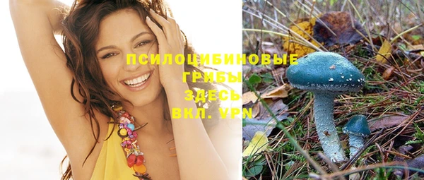 стафф Богданович